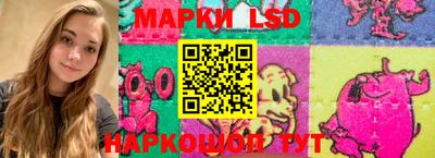 гидропоника Можга