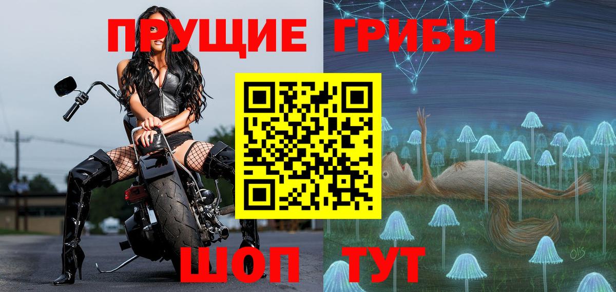 Псилоцибиновые грибы Cubensis Кушва