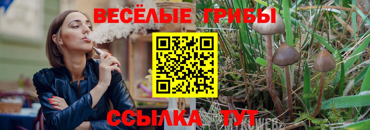 Кушва  Галлюциногенные грибы Magic Shrooms  Вход с VPN 